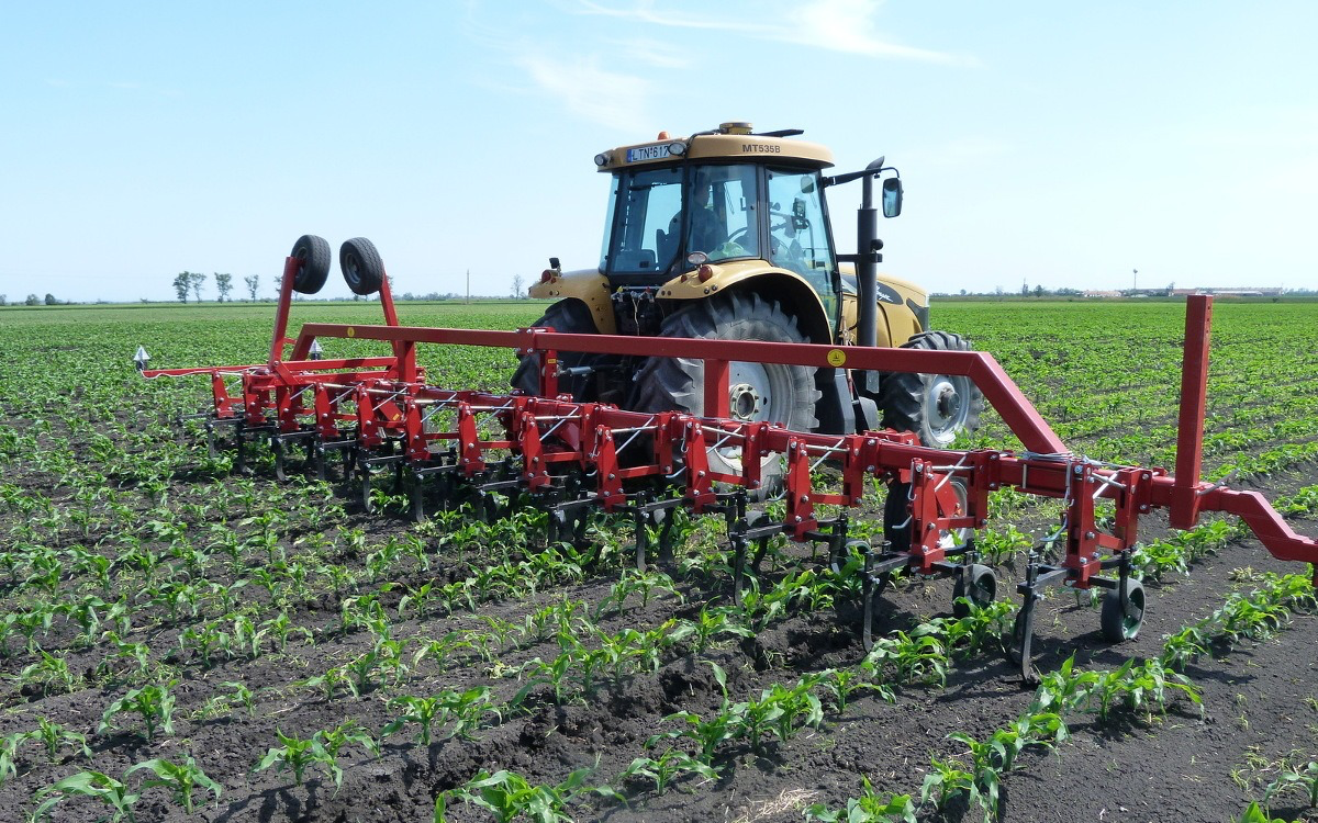 Cultivator/prășitoare fără fertilizare - ABK 116-standard/flex