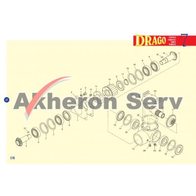 Pinion